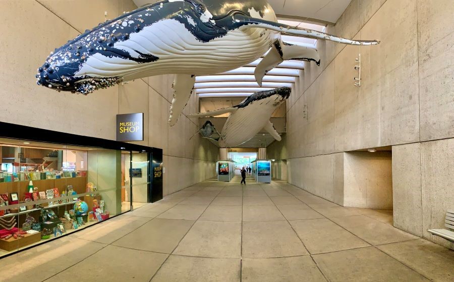 Bảo tàng gồm nhiều phòng trưng bày với đa dạng các chủ đề khoa học khác nhau