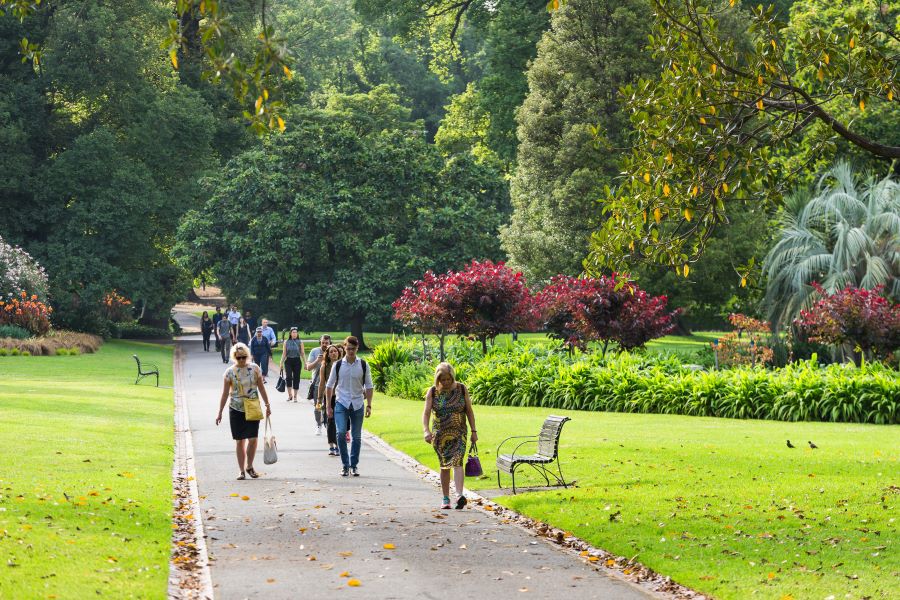 Vườn Bách thảo Hoàng gia Victoria - một trong những khu bảo tồn thiên nhiên đẹp nhất và nổi tiếng nhất ở Úc