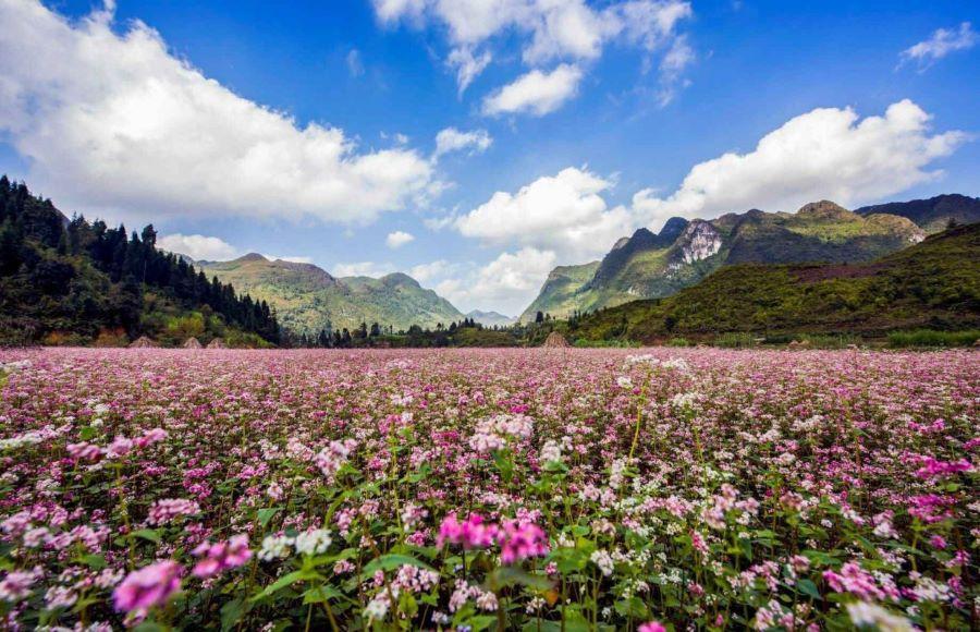 Bản làng Hà Giang đẹp dịu dàng như những nàng công chúa