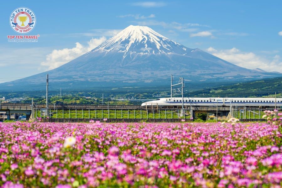 Trải nghiệm tàu siêu tốc Shinkansen trong tour Nhật Bản của Top Ten Travel