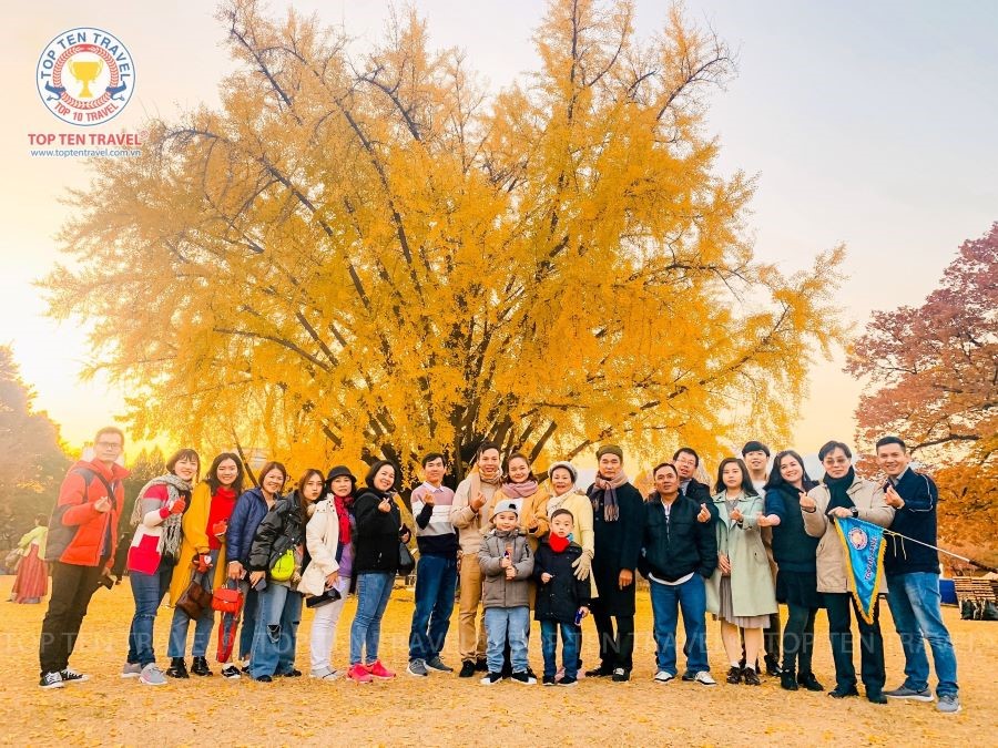 Những vị khách lựa chọn chuyến tham quan đến Nhật Bản tại nhà Top Ten Travel