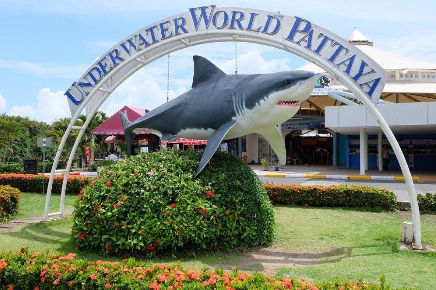 Underwater World Pattaya có diện tích rộng lớn và là nơi sinh sống của nhiều sinh vật