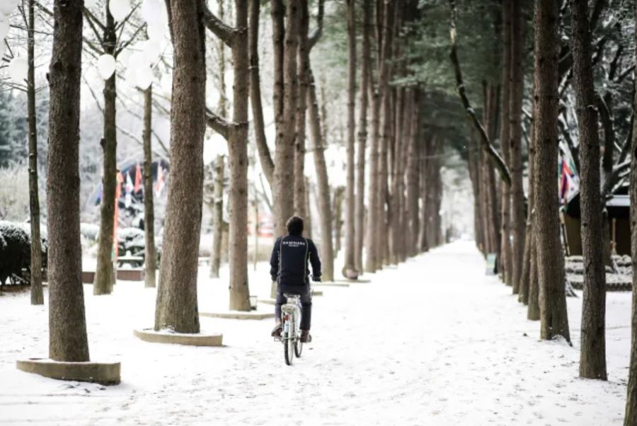 Đừng quên đạp xe trên đường ray để ngắm cảnh đẹp Nami yên bình bạn nhé!