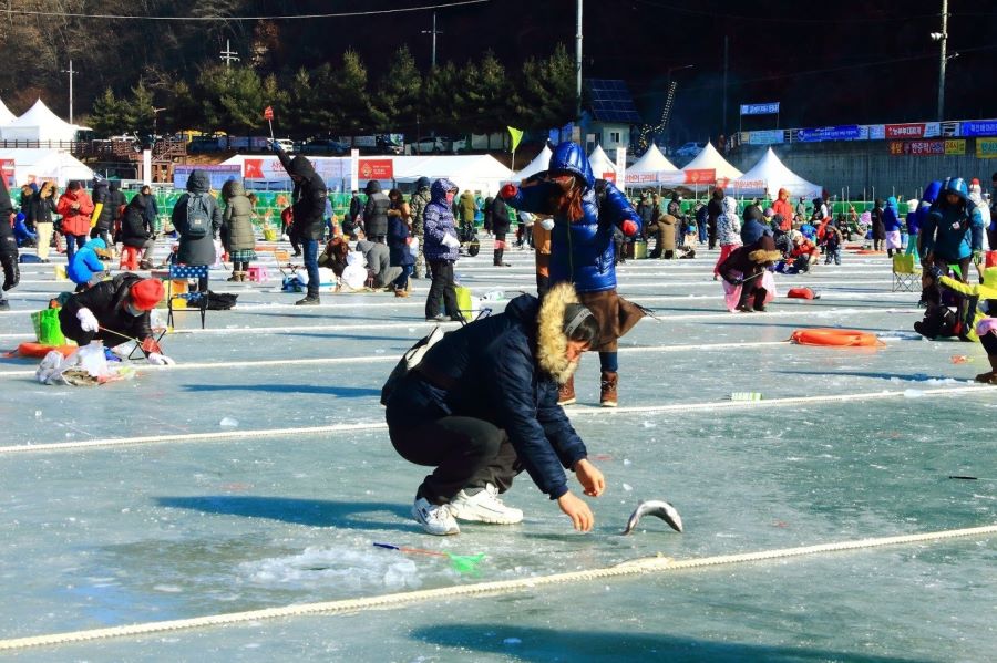 Đừng bỏ lỡ cơ hội tham gia lễ hội cá hồi sông Hongcheon mới mẻ và thú vị bạn nhé