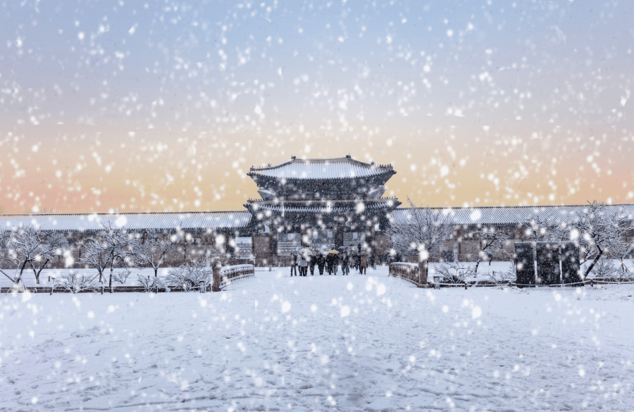 Sắc trắng tinh khôi, đầy kiêu hãnh của những bông tuyết vào mùa đông