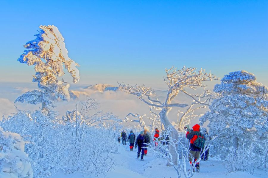 Khung cảnh những ngọn núi hùng vĩ phủ đầy tuyết trắng của vùng núi Taebaeksan