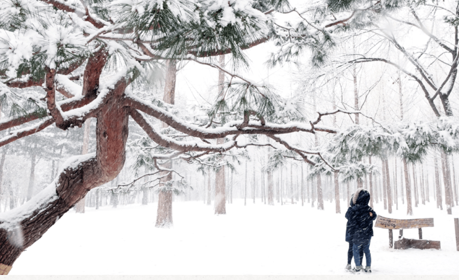 Mùa đông Hàn Quốc chiêu đãi du khách bức tranh thiên nhiên tươi đẹp mỹ miều