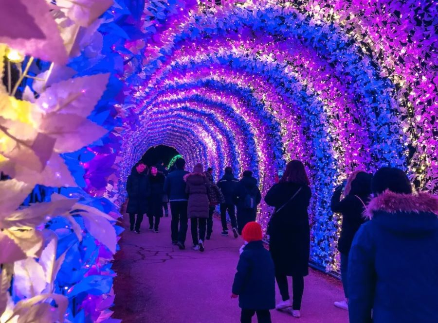 Khung cảnh cực kỳ ấn tượng và lộng lẫy của Morning Calm vào buổi đêm