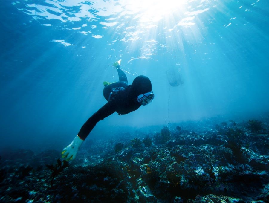 Trong suốt quá trình trải nghiệm, du khách sẽ được trang bị đầy đủ các thiết bị bảo hộ an toàn và hiện đại