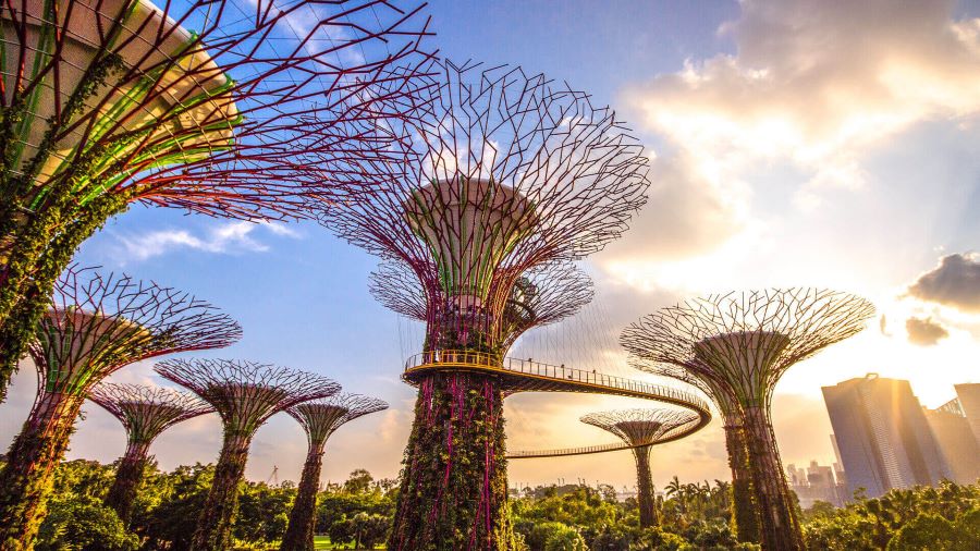 Khám phá vẻ đẹp độc đáo tại Gardens by the Bay