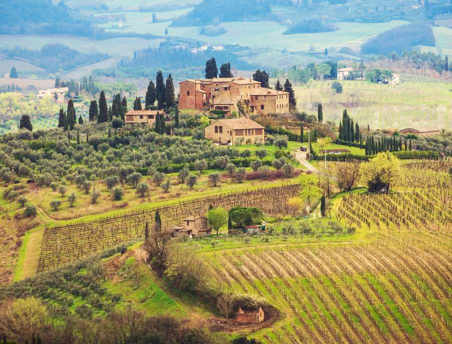 Tuscany là vùng đất nổi tiếng với những cánh đồng nho trải dài vô cùng yên bình