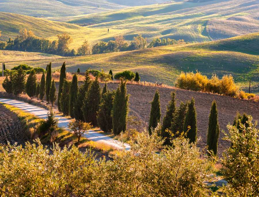 Mỗi khi mùa thu đến, toàn bộ Tuscany được bao phủ bởi sắc vàng của cây cối và ánh nắng