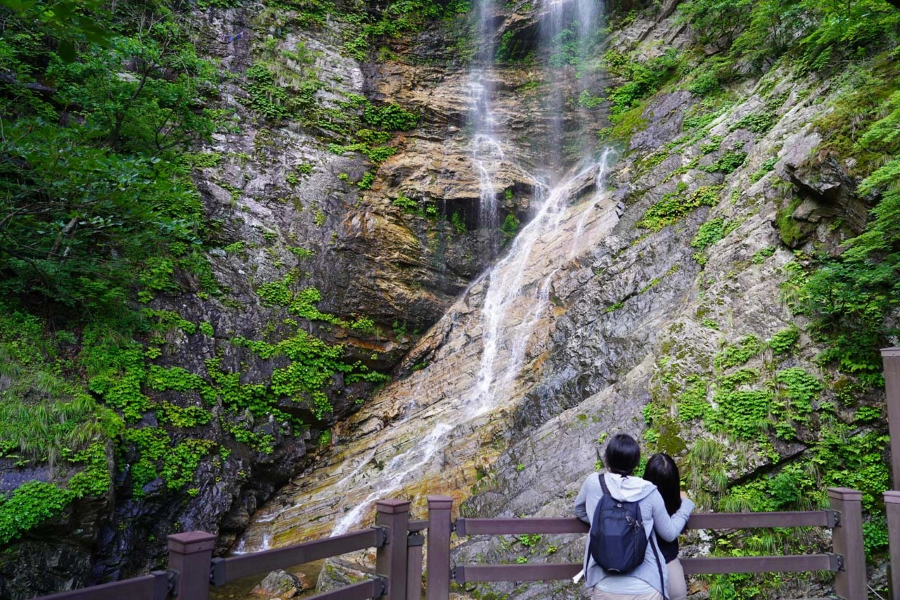 Tản bộ khám phá quanh khu vực thác là một trong những hoạt động không thể bỏ qua khi đến Thác Cheonjiyeon