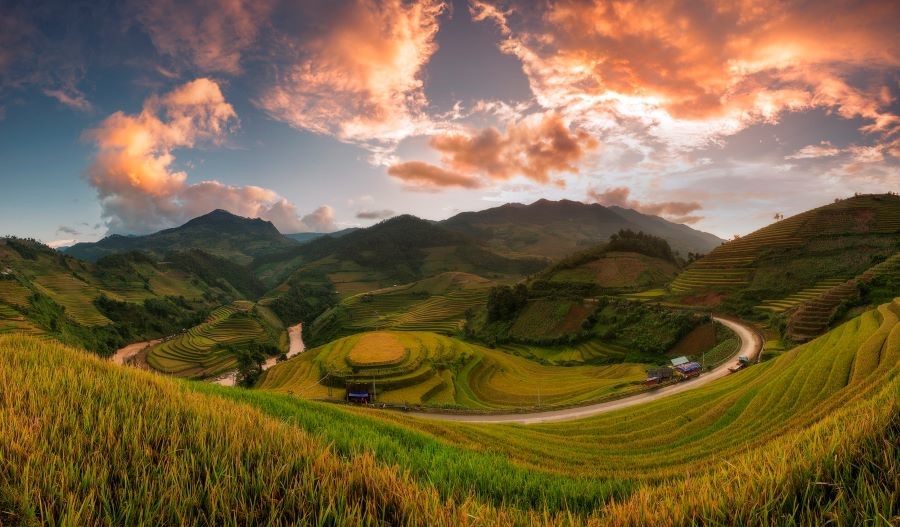 Cả đất trời ngập tràn trong sắc vàng rực rỡ mỗi khi Mù Cang Chải vào mùa lúa chín