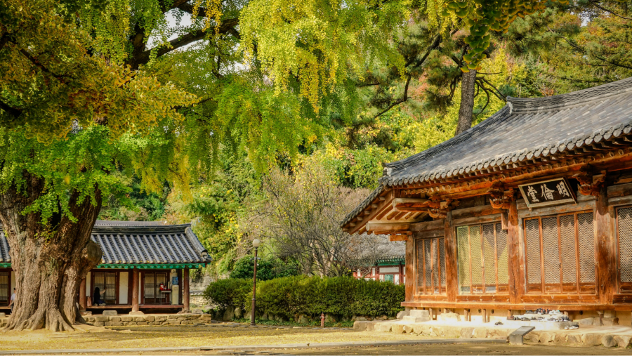 Jeonju Hyanggyo là một địa điểm không thể bỏ qua cho những ai muốn tìm hiểu về nền giáo dục truyền thống tại Hàn Quốc