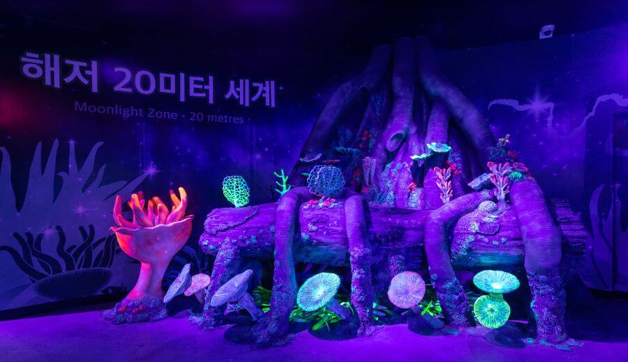 Với gần 35.000 cá thể sinh sống, Busan Aquarium như một đại dương thu nhỏ ngay giữa lòng thành phố biển Busan