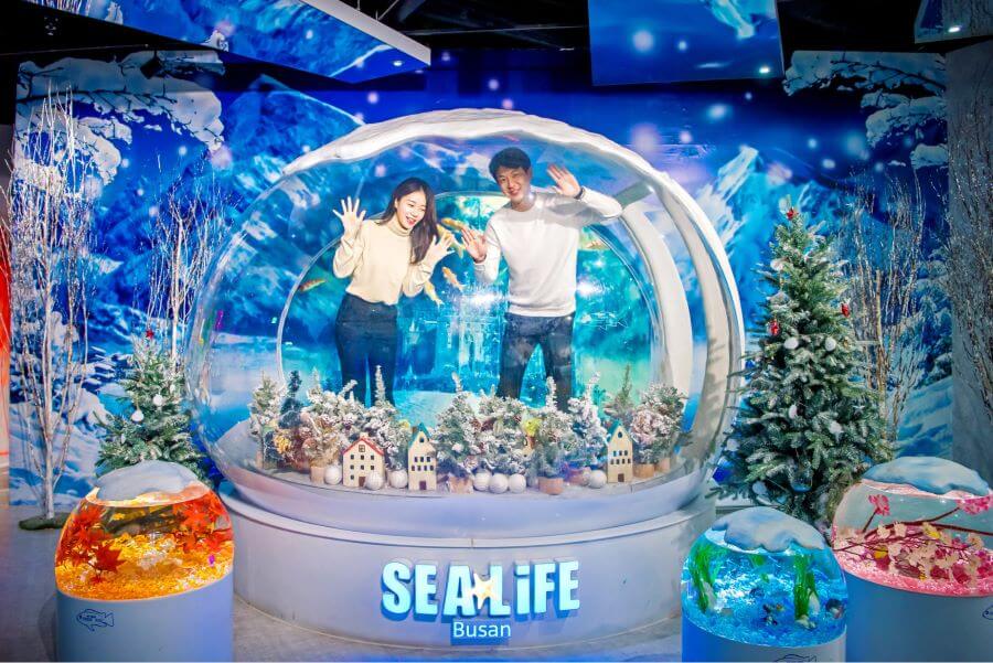 Busan Aquarium không chỉ là một nơi trưng bày các loài sinh vật biển mà còn là một kiệt tác kiến trúc độc đáo