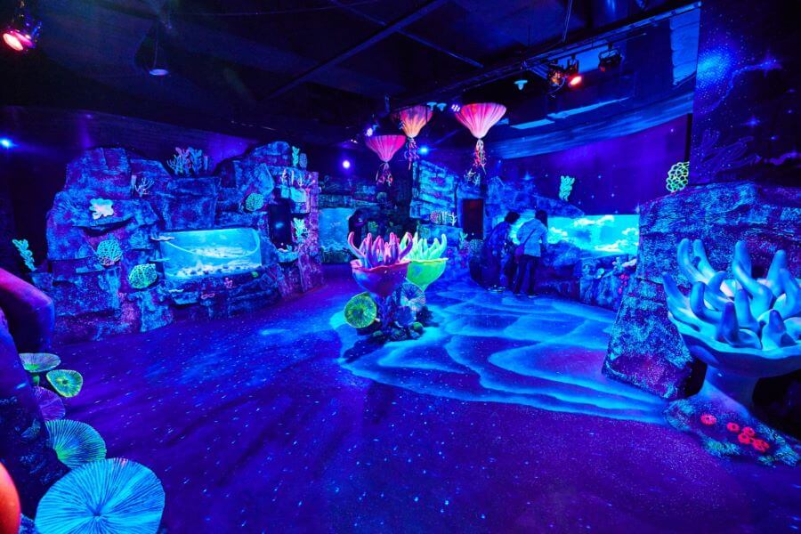 Mỗi khu vực tại Busan Aquarium đều mang đến một chủ đề riêng biệt, giới thiệu đa dạng các loài sinh vật biển và hệ sinh thái độc đáo