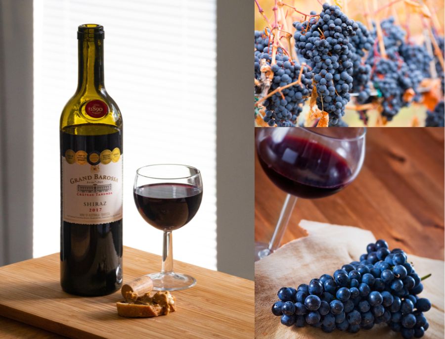 Rượu Shiraz có màu đỏ đậm với hương vị nồng nàn