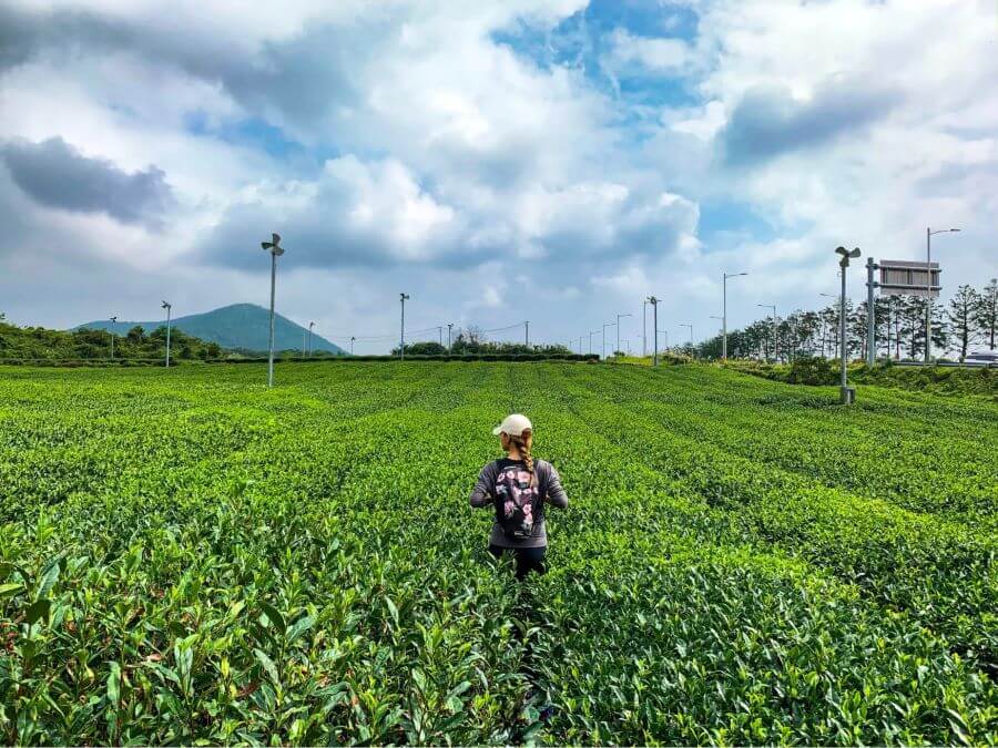 Với khung cảnh thiên nhiên tuyệt đẹp và những góc chụp độc đáo, O'Sulloc hứa hẹn sẽ mang đến cho bạn những bức ảnh "triệu like"