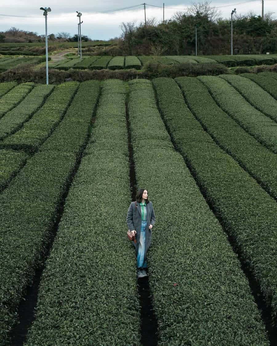 Một trong những thời điểm lý tưởng nhất để chụp ảnh tại O'Sulloc là vào buổi sáng sớm hoặc chiều muộn