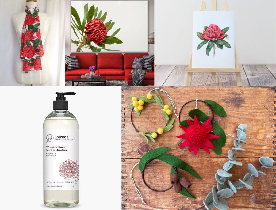 Một số các ứng dụng của hoa Waratah trong thực tế cuộc sống