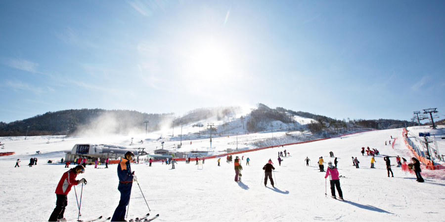 Khu trượt tuyết Alpensia Ski Resort  thu hút đông đảo du khách khi đi du lịch Hàn Quốc