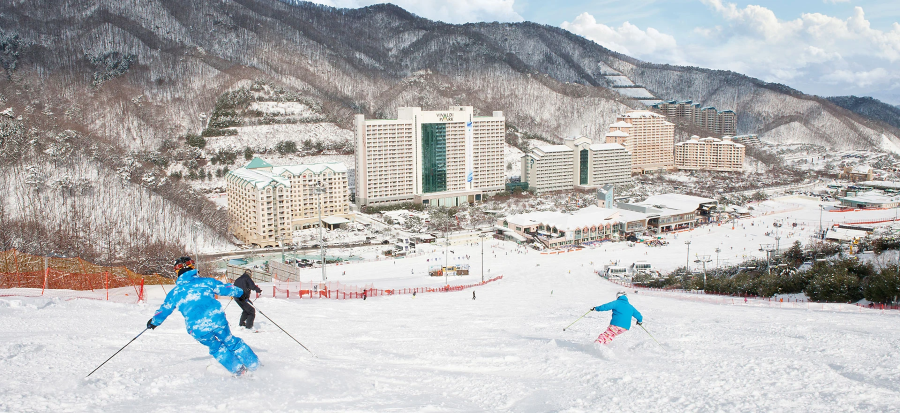 Daemyung Vivaldi Ski Resort - Một điểm đến được giới trẻ Hàn Quốc cực kỳ yêu thích