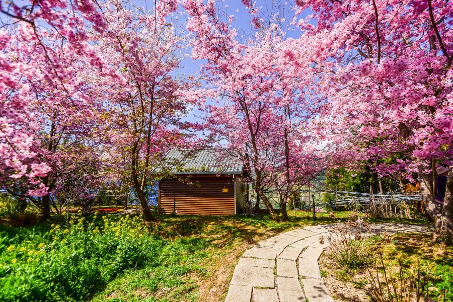 Khu bảo tồn thiên nhiên núi Lala là điểm đến lý tưởng cho những ai yêu thích thiên nhiên và hoa lá