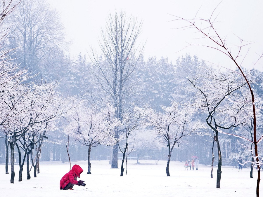 Nếu bạn đang lăn tăn chưa biết đi đâu để ngắm tuyết rơi đẹp tại Hàn thì Đảo Nami là một gợi ý hoàn hảo dành cho bạn