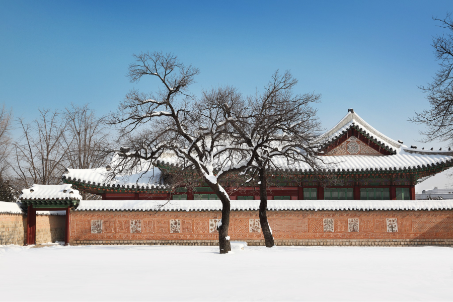 Cung điện Gyeongbokgung được khoác lên mình một chiếc áo mới với những bông tuyết đầu mùa rơi xuống, phủ kín những mái ngói đỏ tươi