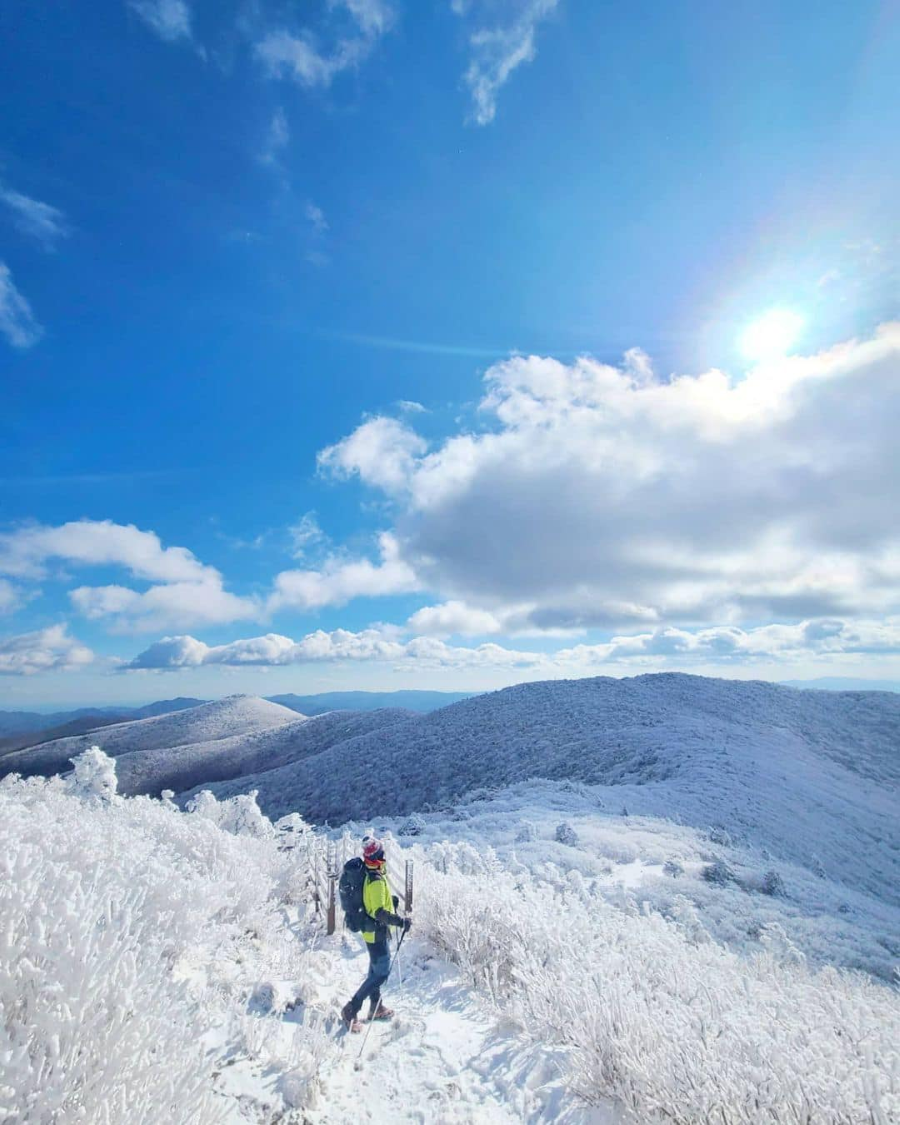 Núi Taebaeksan là địa điểm lý tưởng để bạn tận hưởng vẻ đẹp của mùa đông
