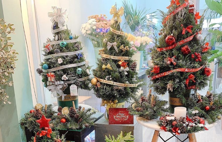 Có rất nhiều mẫu cây giáng sinh để mọi người lựa chọn