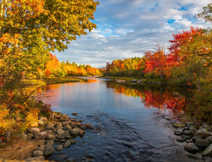 Blue Mountains sở hữu những khu vườn rực rỡ sắc màu