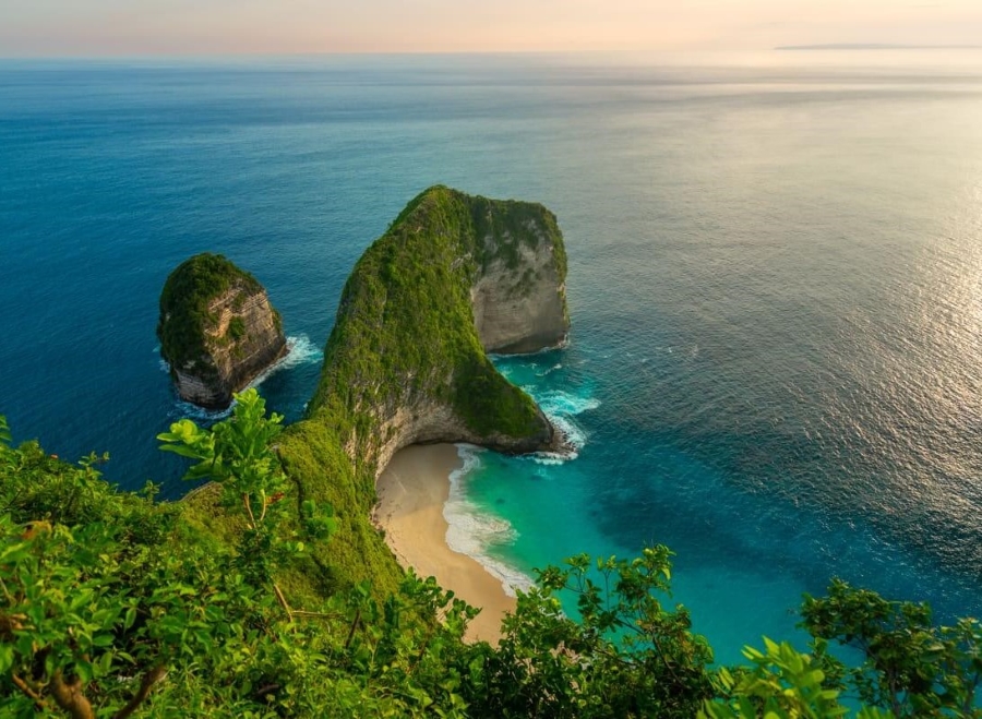 "Sống lưng khủng long" 