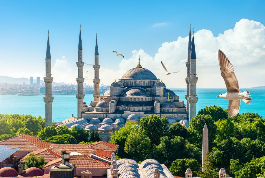 Blue Mosque 