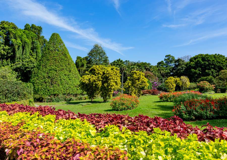 Royal Botanic Garden Sydney