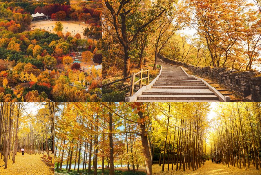 Grand Seoul là thiên đường xanh rộng lớn thích hợp cho các hoạt động picnic