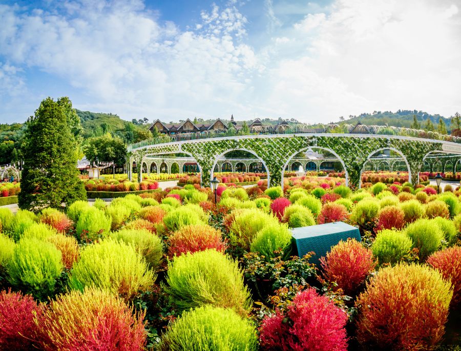 Công viên Everland