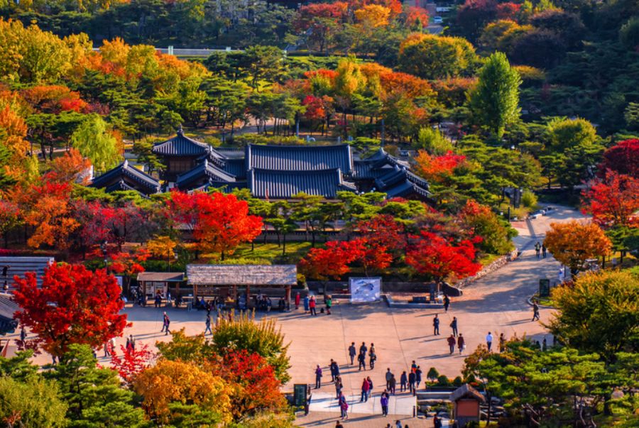 Cùng hoà mình vào trong sắc thu lộng lẫy của Hàn Quốc tại những địa điểm dưới đây