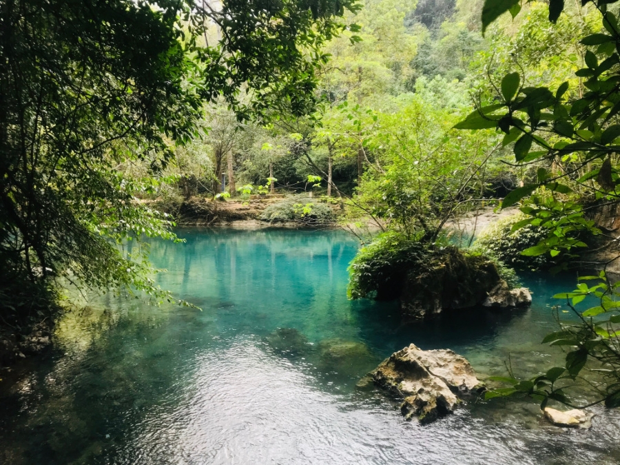 Suối Lê Nin - Vẻ đẹp nên thơ giữa rừng già hùng vĩ