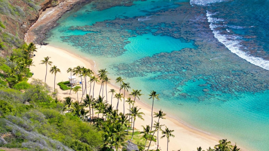 Cù Lao Chàm - Vẻ đẹp không thể bỏ qua tại miền Trung