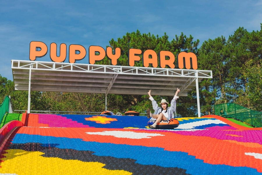 Puppy Farm - Điểm đến dành cho người yêu thiên nhiên và động vật
