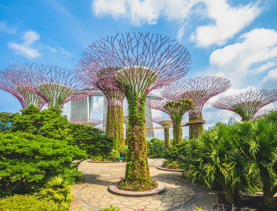 Gardens by the Bay