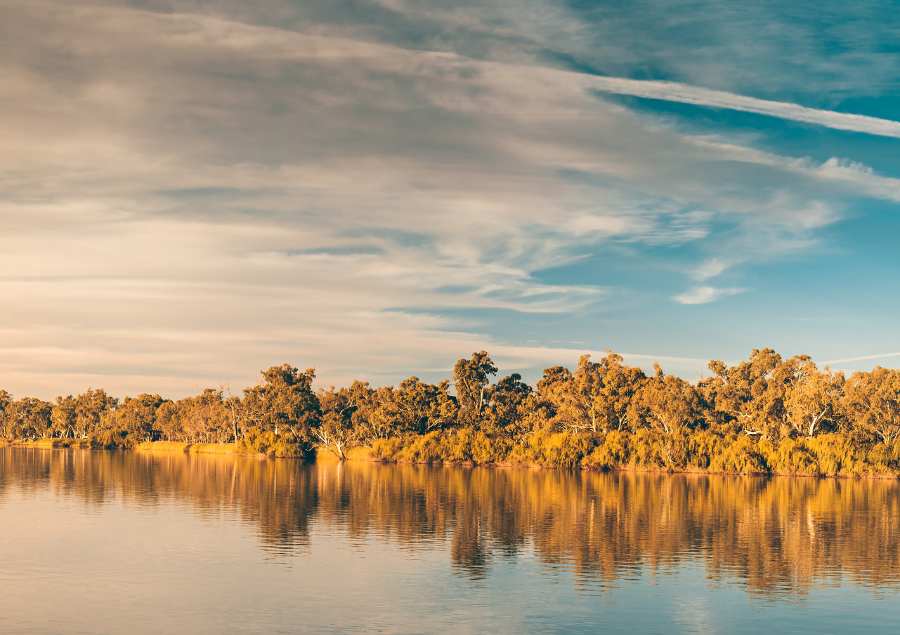 Sông Murray mùa thu có cảnh sắc rực rỡ với những hàng cây thay màu