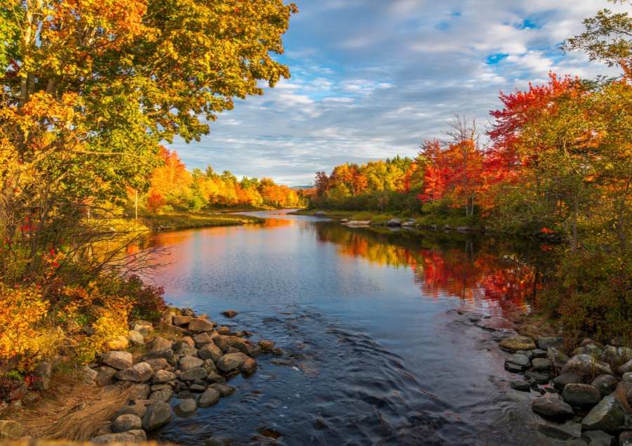 Sông Murray có diện tích rộng lớn với chiều dài lên đến 2.508 km